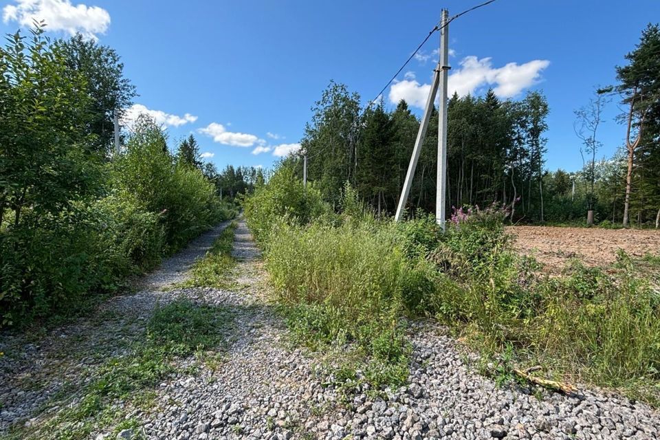 земля г Череповец Зашекснинский, Череповец городской округ фото 4