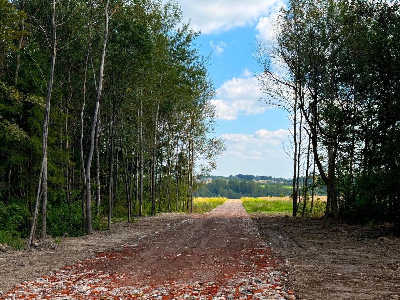 земля направление Савеловское (север) ш Рогачевское Дмитровский городской округ, Солнечногорск фото 7