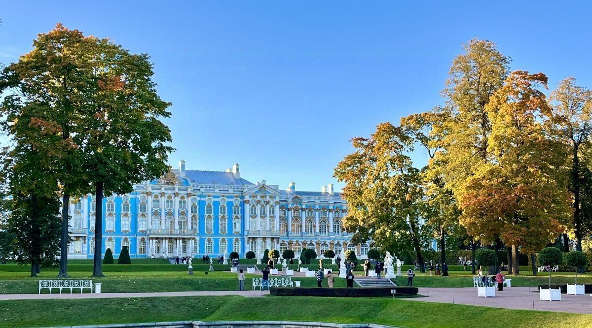 земля р-н Тосненский д Ладога ул Лазурная 10 Федоровское городское поселение фото 19