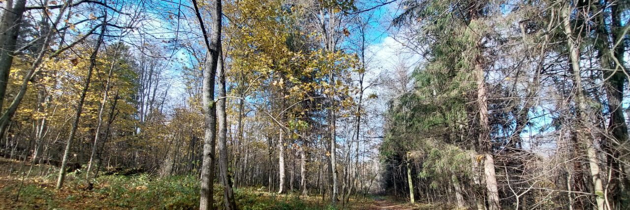 дом городской округ Рузский д Ваюхино фото 42