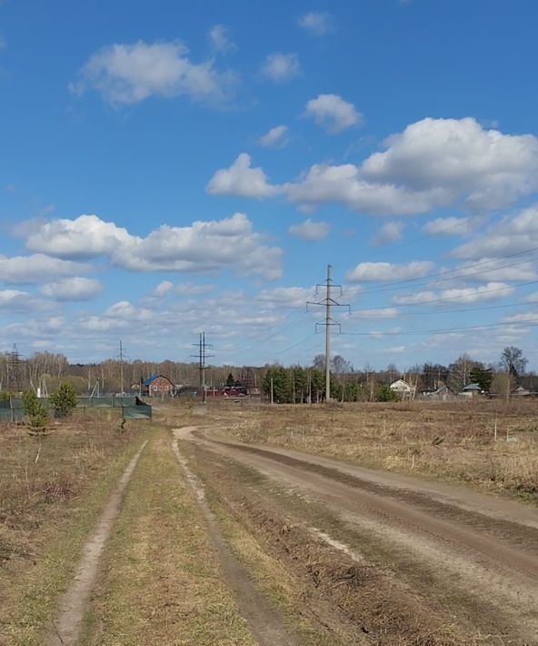 земля р-н Богородский д Демидово фото 2