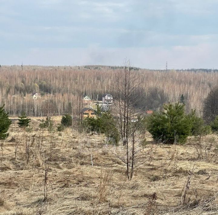 земля р-н Тарусский д Похвиснево с пос, 344, Заречье кп фото 1