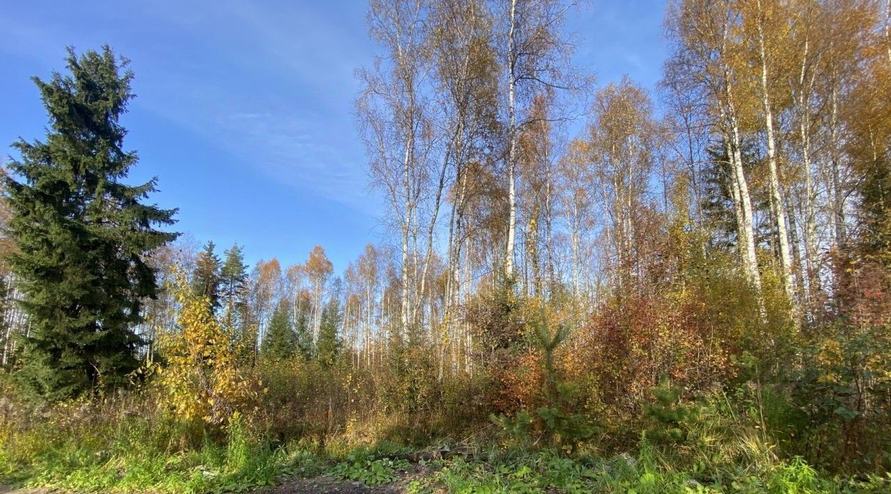 земля р-н Тихвинский снт Заречное Сертоловское городское поселение, Беговая, ул. Парижская, Всеволожский район фото 1