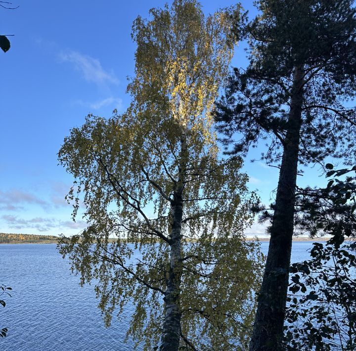 земля р-н Всеволожский Токсовское городское поселение, Токсово городской поселок, Девяткино, ул. Пляжная, 5/1 фото 37