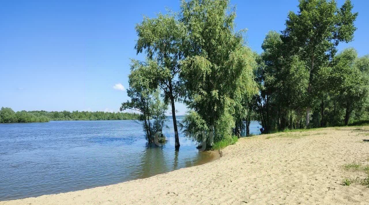 земля р-н Новосибирский снт тер.Сады Приобья Кубовинский сельсовет, ул. 5-я, 15 фото 12