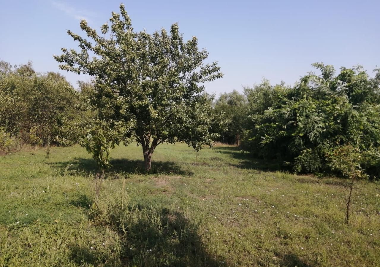 земля р-н Зерноградский с Новокузнецовка Донское сельское поселение, Мечетинская фото 4