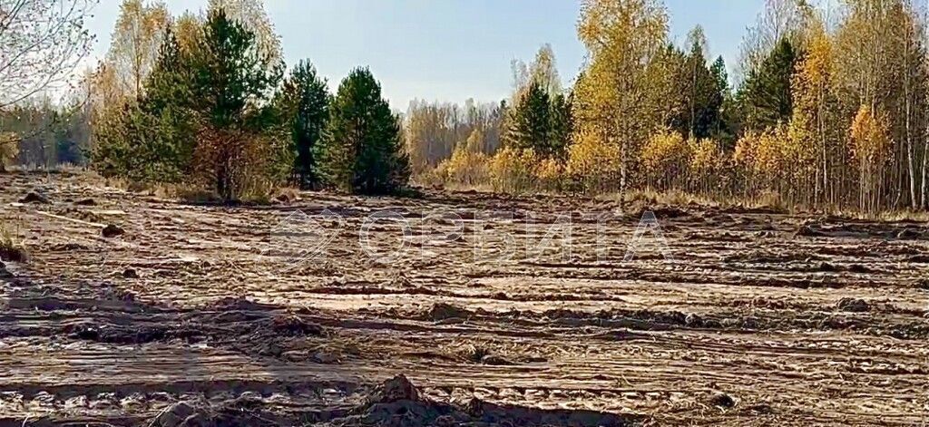 земля р-н Нижнетавдинский с Тюнево Тюмень фото 2