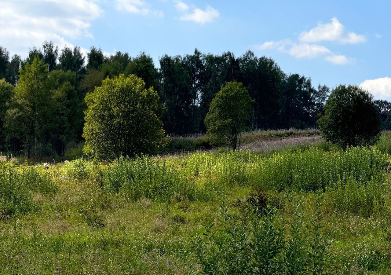 земля городской округ Дмитровский с Рогачево 9778 км, коттеджный пос. Серебряный ручей, 6, Рогачёвское шоссе фото 18