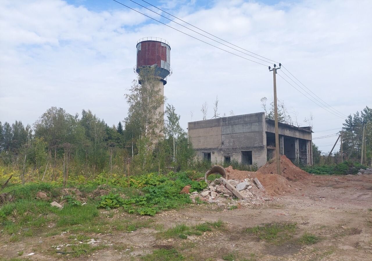 производственные, складские р-н Гатчинский п Новый Свет территория Новый Свет-2, 5 фото 4