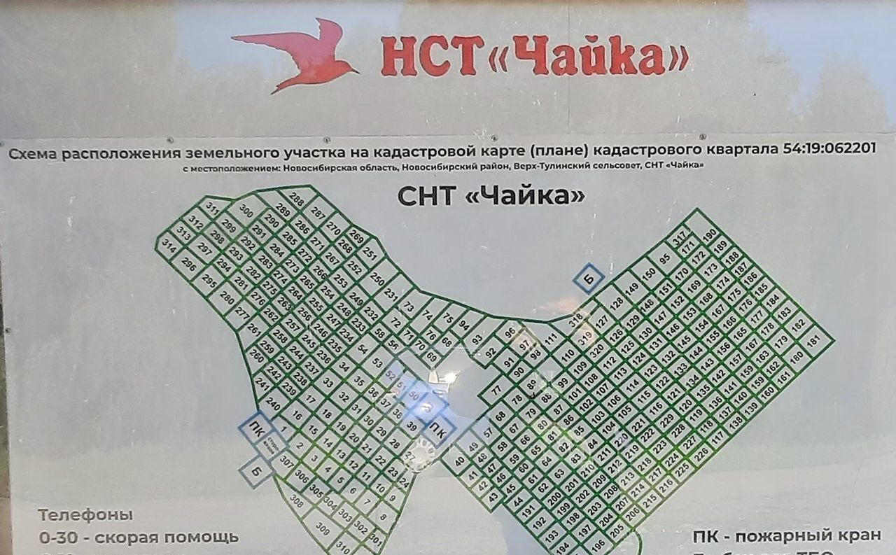 земля р-н Новосибирский снт Чайка Ордынское шоссе, 9727 км, Верх-Тулинский сельсовет, Верх-Тула фото 1