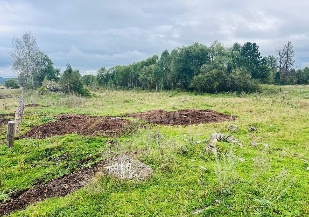 земля р-н Чойский с Каракокша ул Новая 2 Горно-Алтайск фото 2