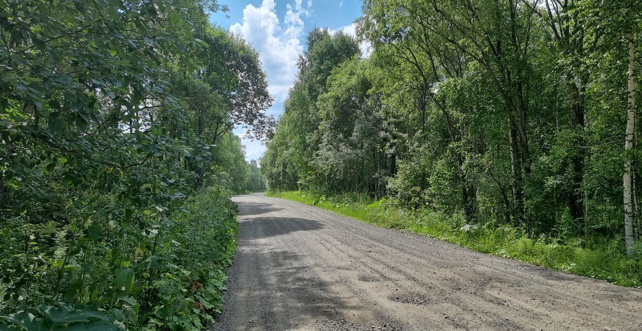 земля р-н Таштагольский пгт Шерегеш Шерегешское городское поселение фото 1