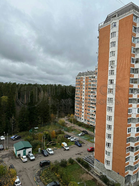 квартира городской округ Солнечногорск д Голубое Голубое д. Родниковая ул., 2 фото 25