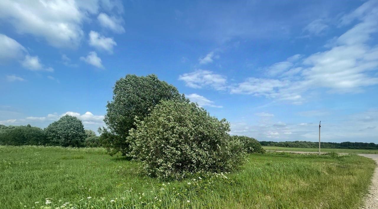 офис городской округ Сергиево-Посадский с Кучки фото 3