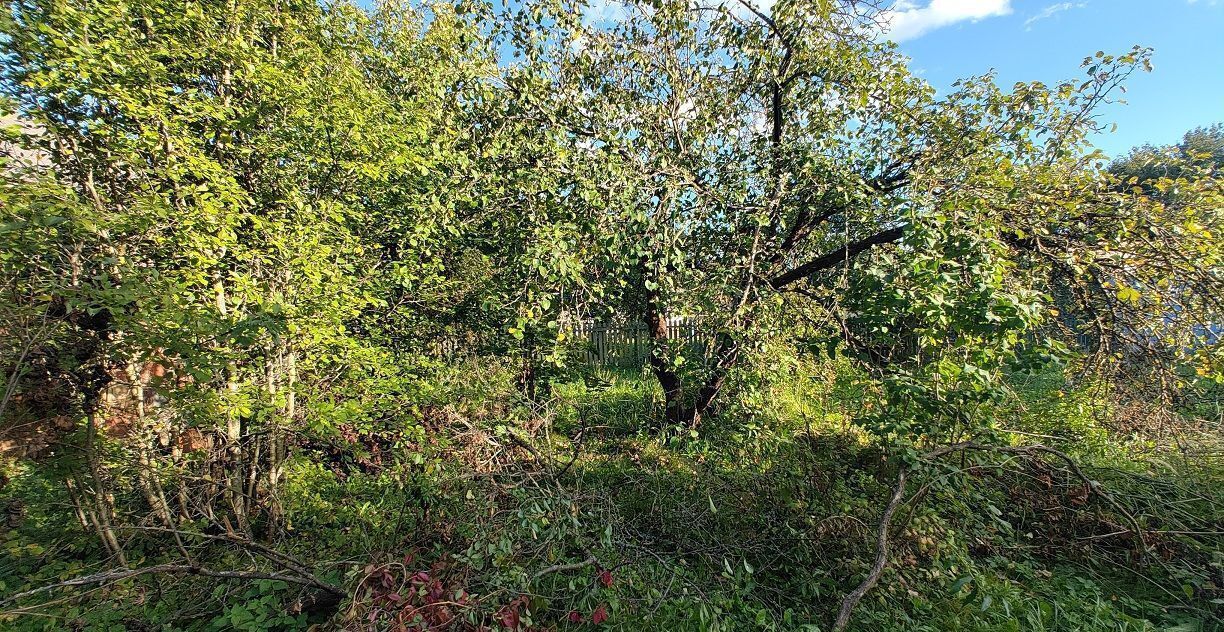 дом г Солнечногорск ул Октябрьская 44 км, Пятницкое шоссе фото 15