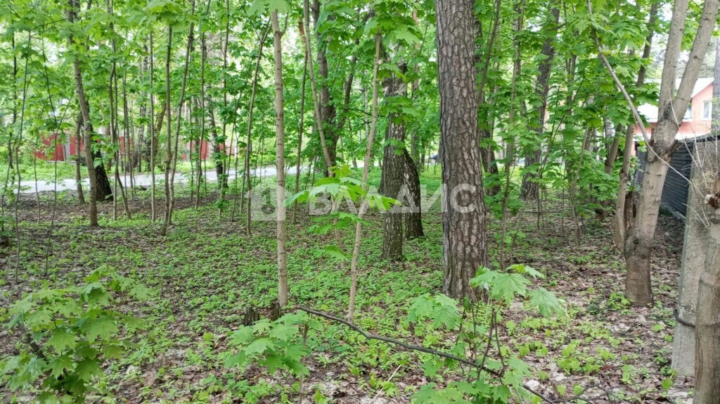 земля городской округ Люберцы рп Малаховка пгт Карла Либкнехта ул фото 8