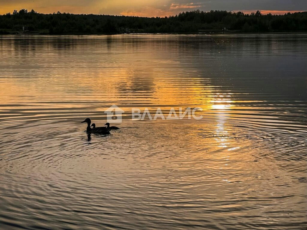 земля Павловы Озера КП фото 5