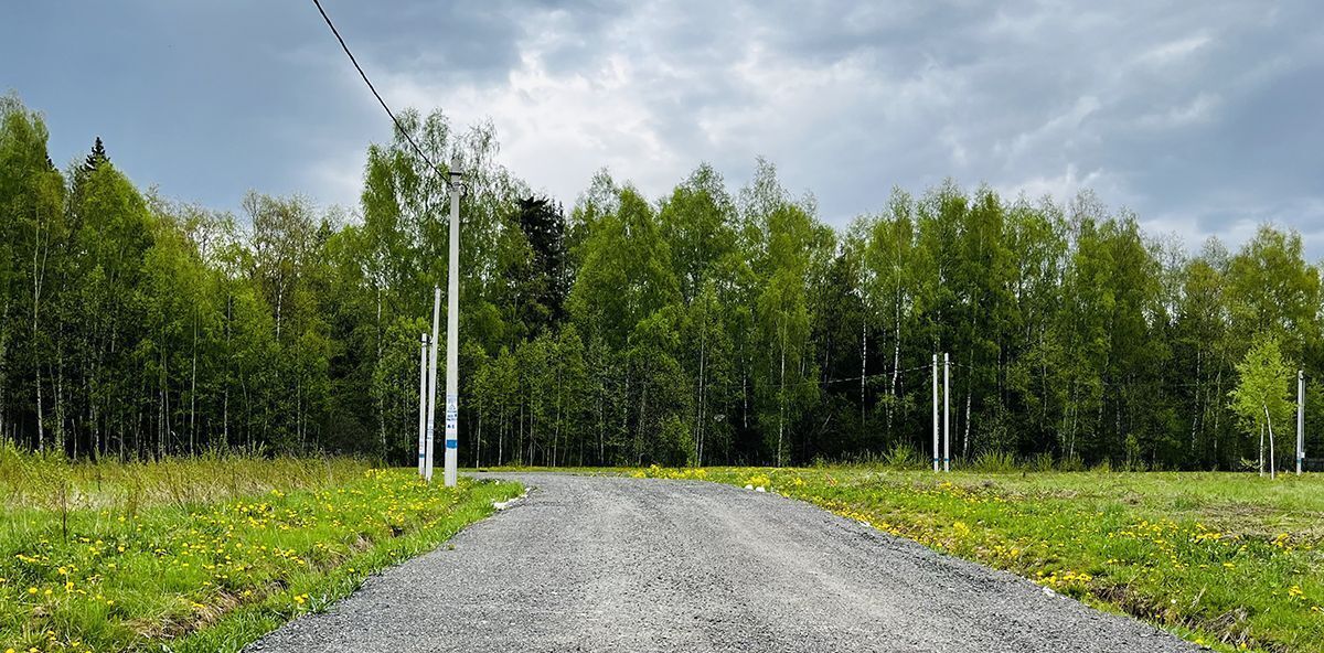 земля городской округ Дмитровский д Новинки фото 5