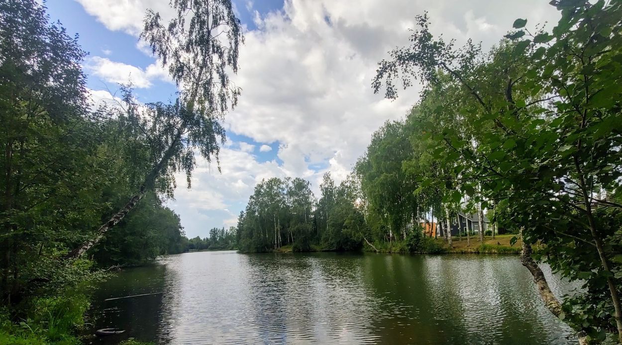 земля р-н Всеволожский снт Белоостров Сертоловское городское поселение фото 5