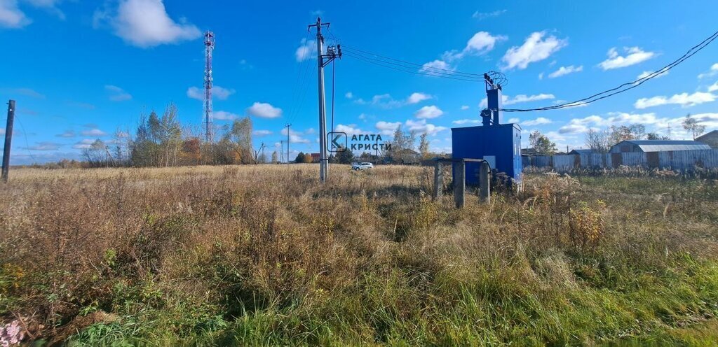 земля городской округ Павловский Посад д Стремянниково фото 4