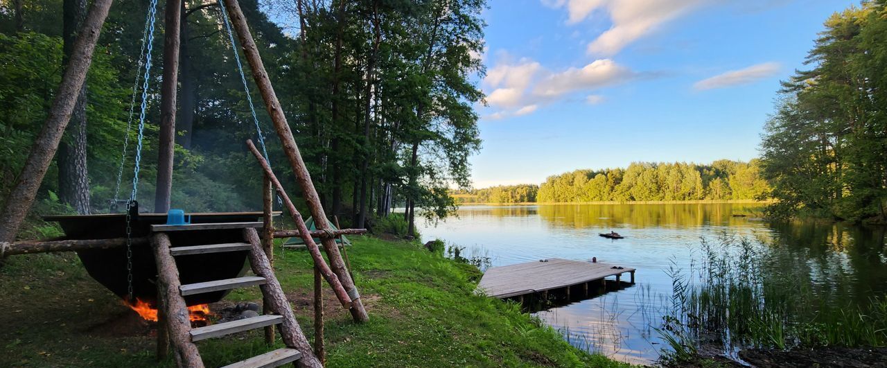 дом р-н Пустошкинский д Ореховно Гультяевская волость, Пустошка фото 21