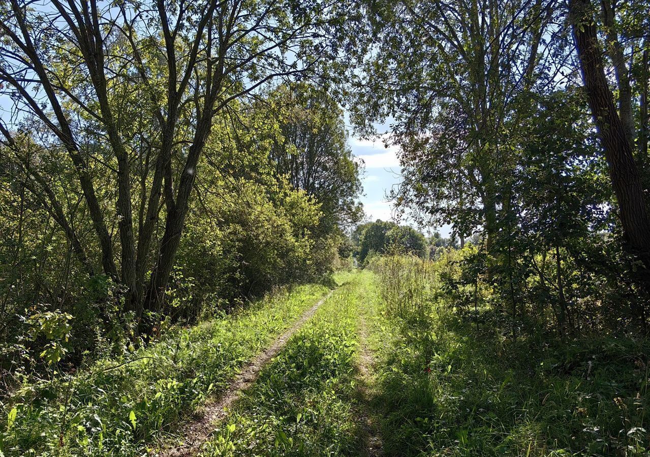 земля р-н Шимский д Коломо Подгощское сельское поселение, Шимск фото 4