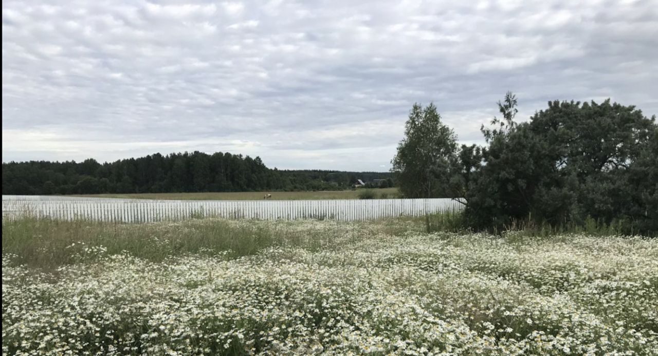 земля р-н Ломоносовский Пениковское с/пос, Меньшиковский кп, ул. Меньшиковская, 2 фото 3