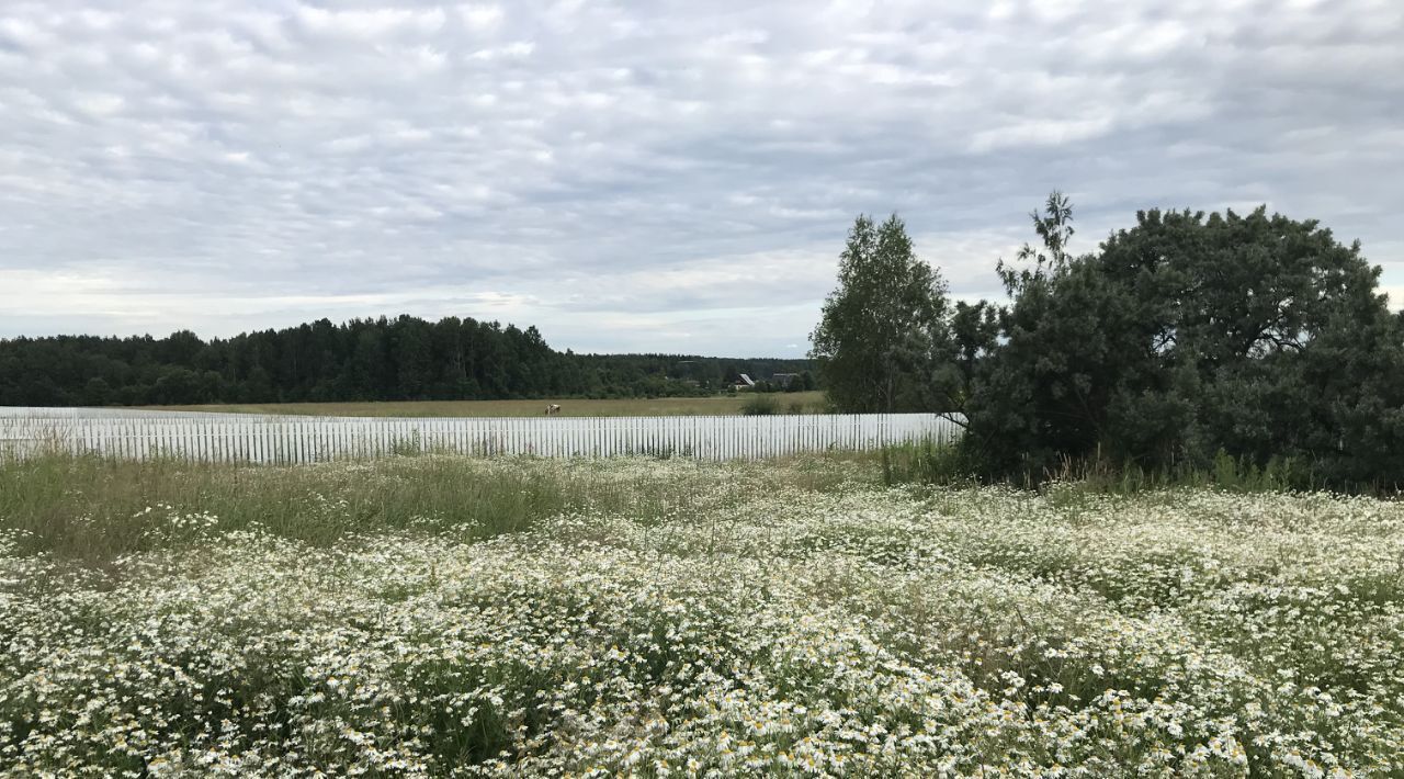 земля р-н Ломоносовский Пениковское с/пос, Меньшиковский кп, ул. Меньшиковская, 2 фото 20