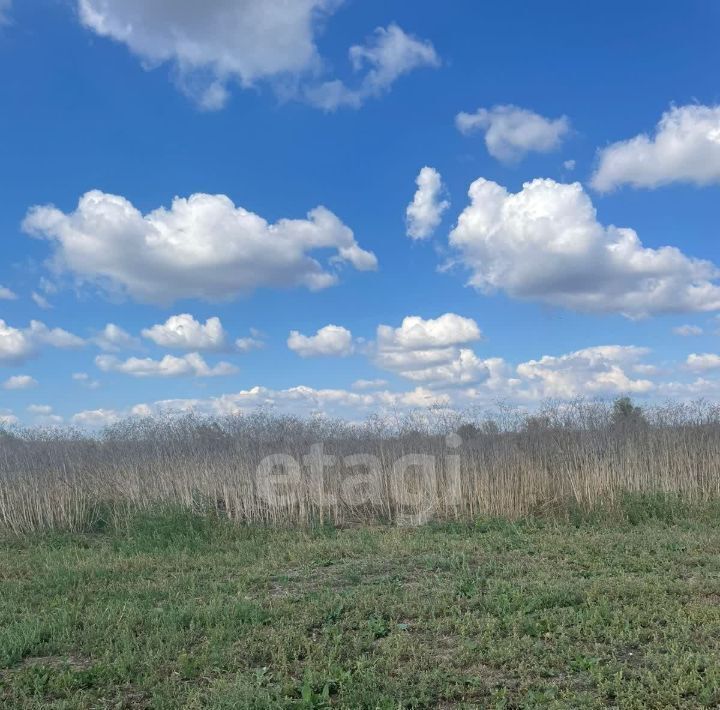 земля р-н Кагальницкий ст-ца Кагальницкая фото 1