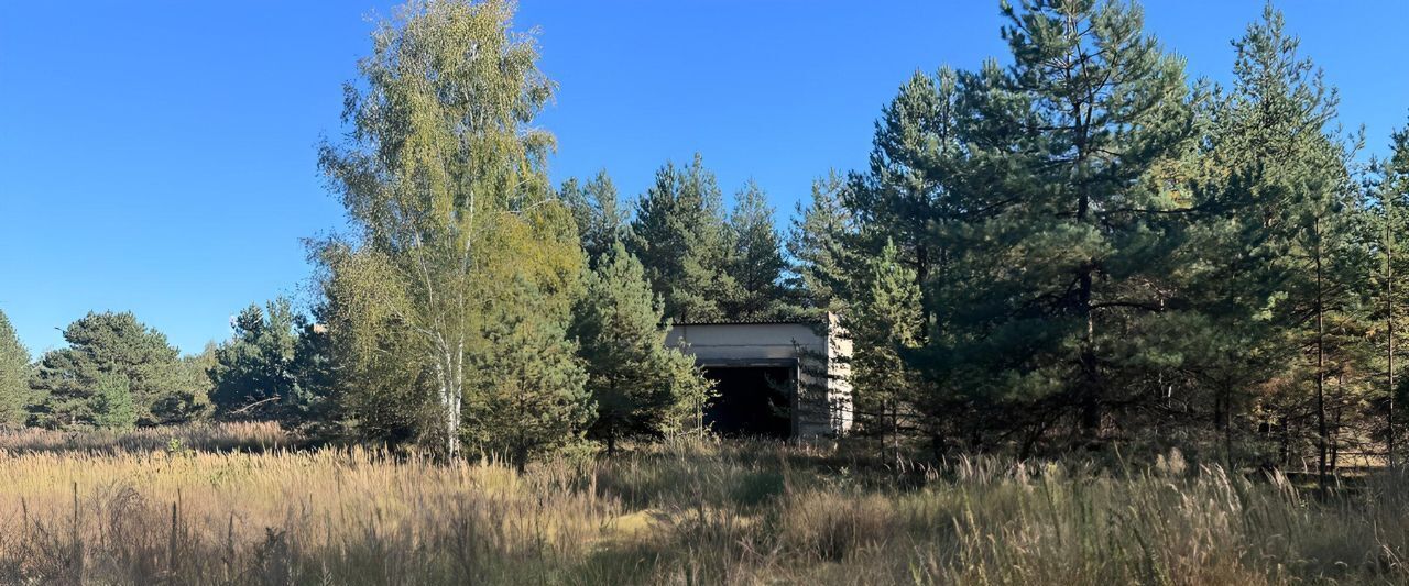 офис городской округ Луховицы д Лесное фото 6