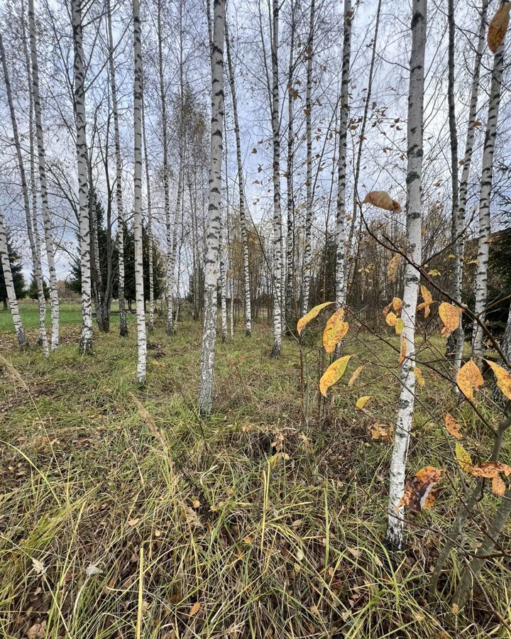 земля городской округ Пушкинский 9762 км, дп. Генеральский, Генеральская ул, Хотьково, Ярославское шоссе фото 1