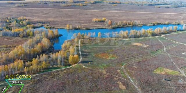 Червишевское муниципальное образование фото