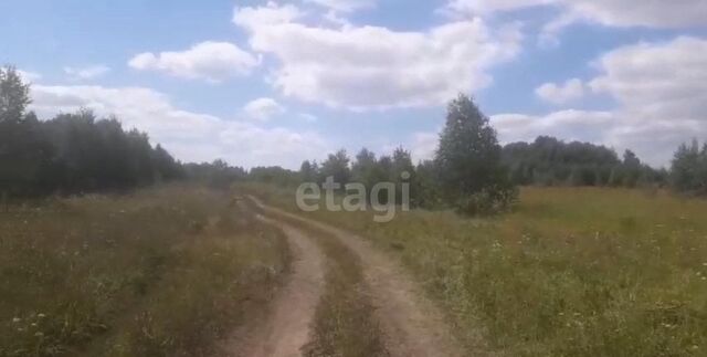 Садовое некоммерческое товарищество Сокурские дачи фото