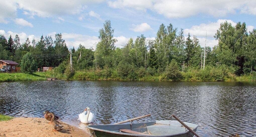 земля городской округ Клин г Высоковск 9795 км, некоммерческое партнёрство Новорижские Ключи, 212, г. о. Клин, дачное, Ленинградское шоссе фото 1