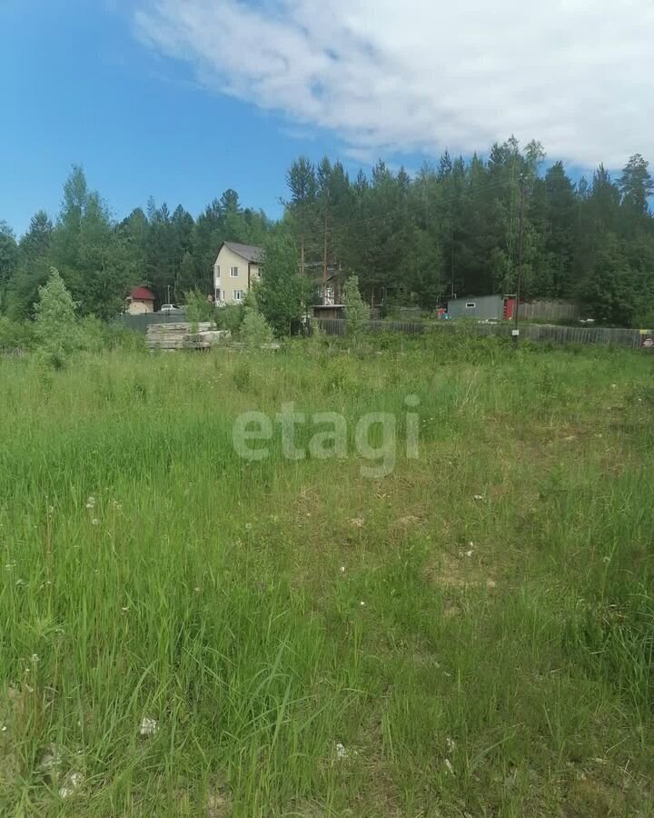 земля р-н Нижневартовский пгт Излучинск Нижневартовский р-н, СОНТ Окунёвка, Тюменская обл. фото 1