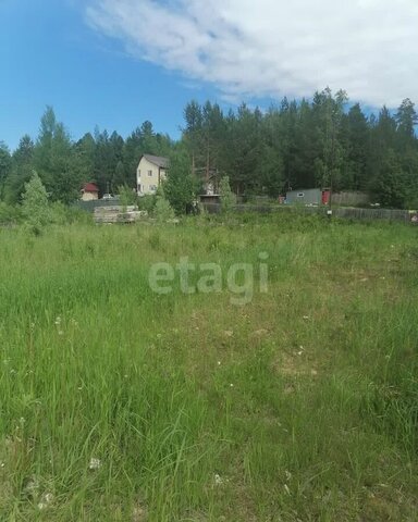 земля Нижневартовский р-н, СОНТ Окунёвка, Тюменская обл. фото