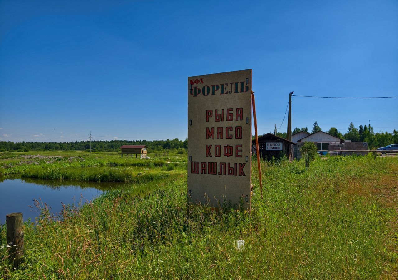 земля р-н Волховский д Трусово Мурманское шоссе, 9819 км, Староладожское сельское поселение, Старая Ладога фото 11