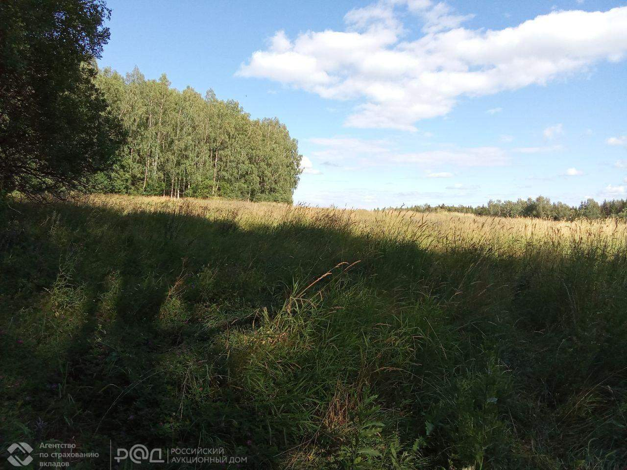 земля городской округ Истра д Андреевское Центральная улица фото 1