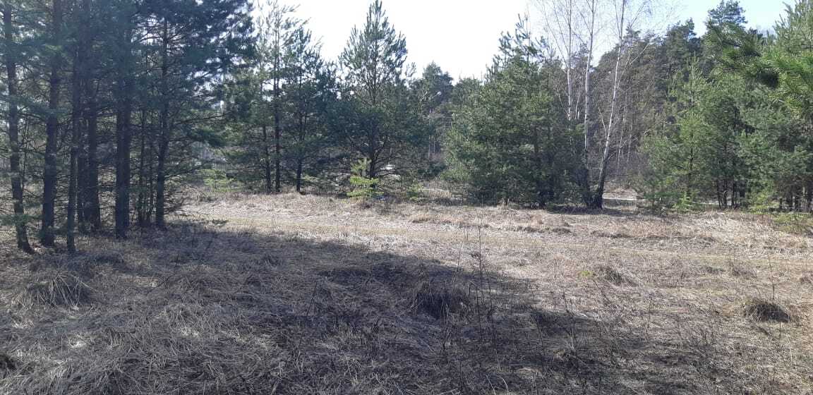 земля городской округ Раменский с Петровское ул Центральная Егорьевское шоссе фото 1