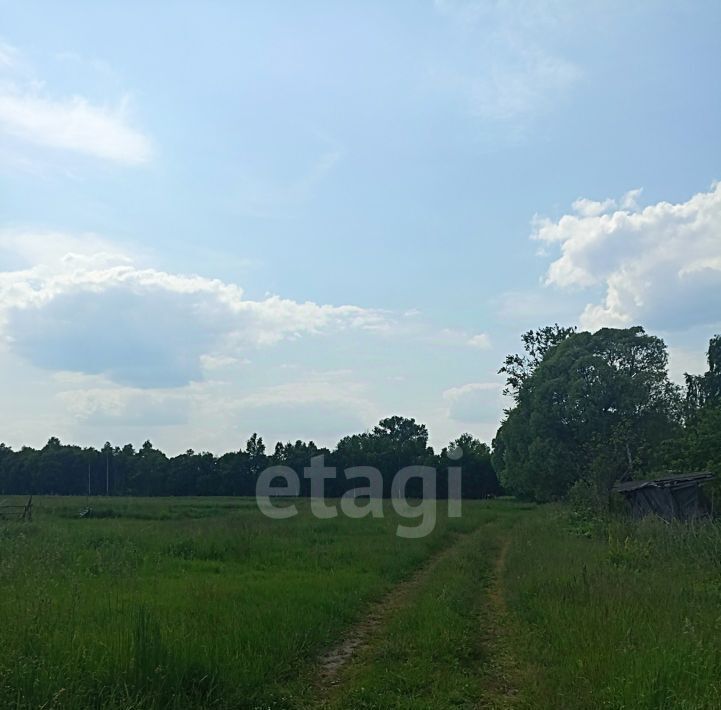 земля р-н Карачевский д Кашинка Карачевское городское поселение фото 7