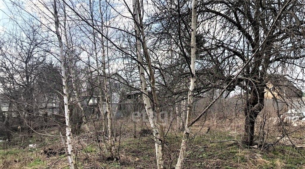 земля г Брянск п Большое Полпино р-н Володарский Буревестник-2 СНТ, 85 фото 6