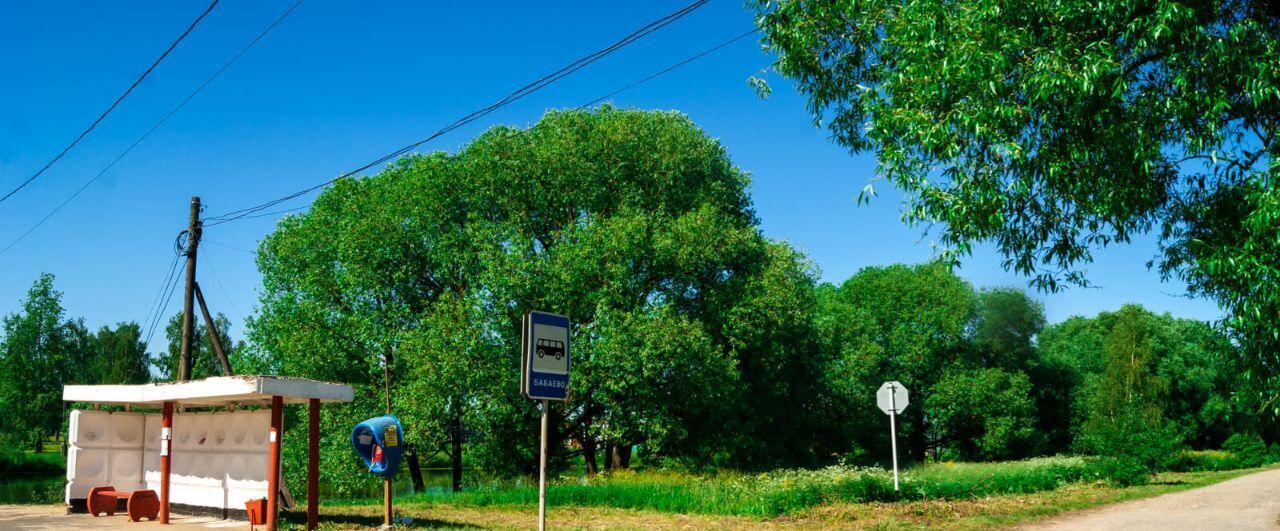 земля р-н Собинский с Бабаево ул Виноградная фото 1