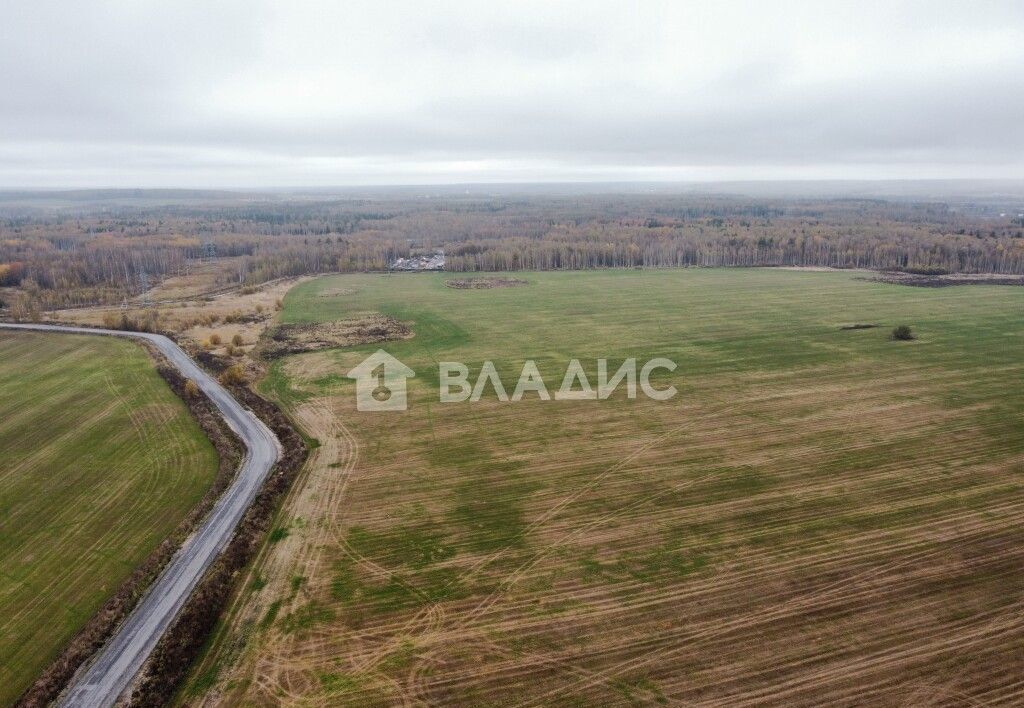 земля р-н Собинский с Ворша ул Молодежная 20 муниципальное образование Воршинское, Лакинск фото 1