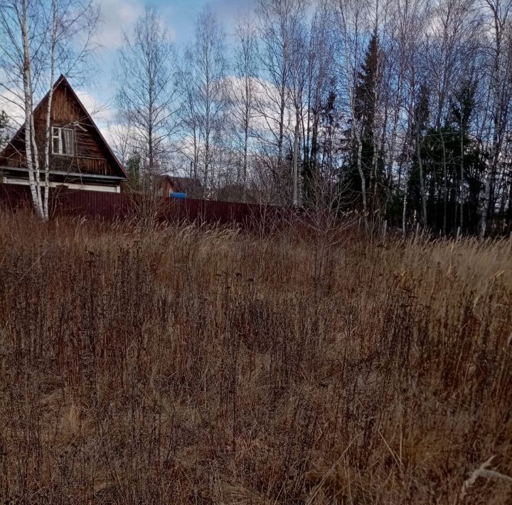 земля р-н Александровский д Таратино Каринское муниципальное образование фото 1