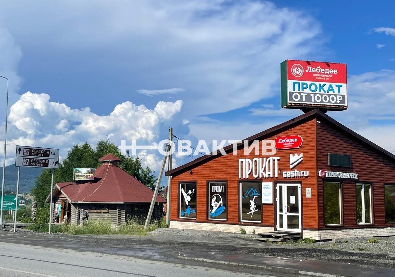 земля р-н Таштагольский пгт Шерегеш Шерегешское городское поселение, СНТ Шерегешевец, 2-я Дачная ул фото 1