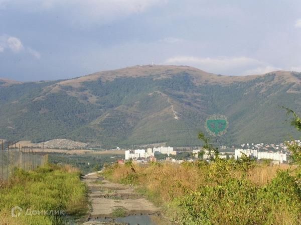 муниципальное образование Геленджик, Центральный рынок г. Геленджик фото