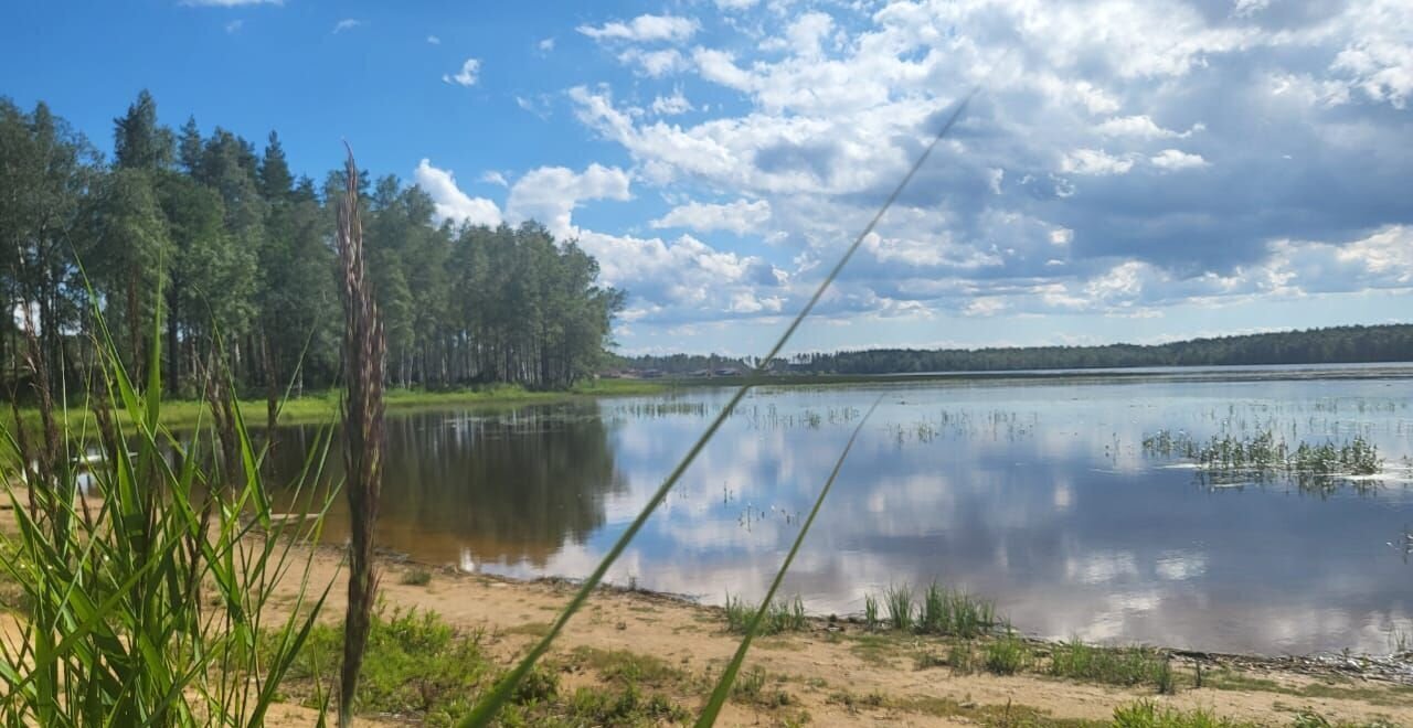 земля р-н Всеволожский 9746 км, Всеволожский р-н, Токсовское городское поселение, коттеджный пос. Экофорест, Лесколово, Ленинградское шоссе фото 1