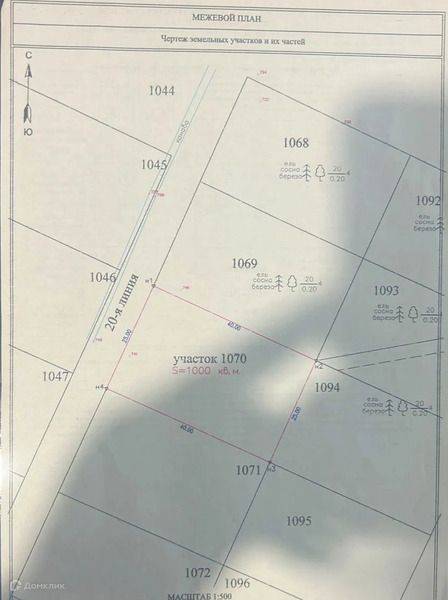 земля р-н Всеволожский ДНП Медное озеро-3 фото 2