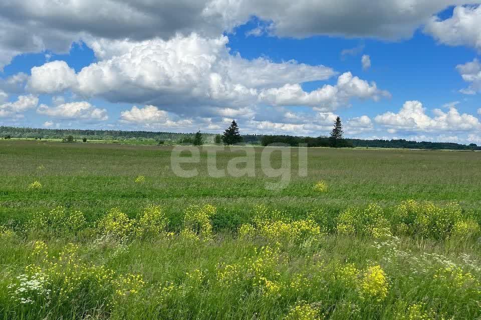 дом р-н Ломоносовский фото 4