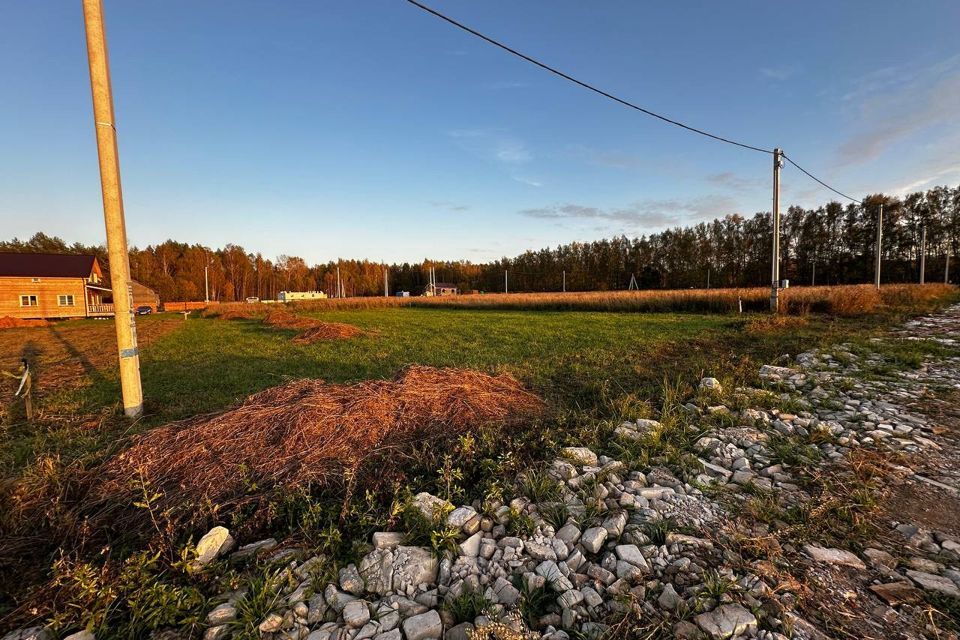 земля городской округ Дмитровский Поддубки фото 4